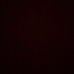 Meet your Posher, Sue